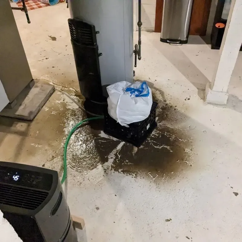 Sewage Backup Cleanup Service in Meigs County, OH